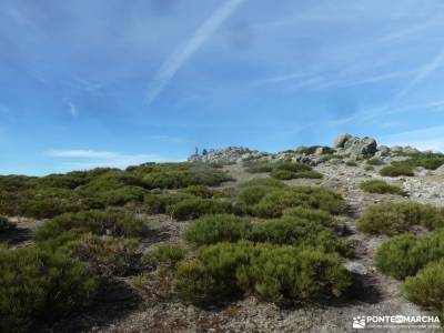 Collado Najarra-Hoya San Blas; rutas de toledo parque de monfrague pueblos medievales la hiruela mad